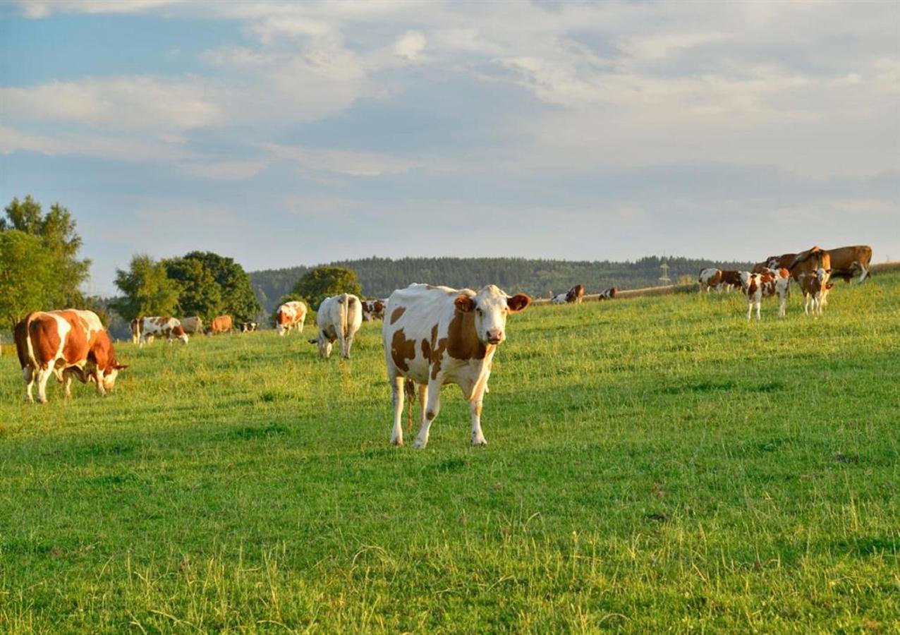Ferienhof Kuerschner Drebach エクステリア 写真