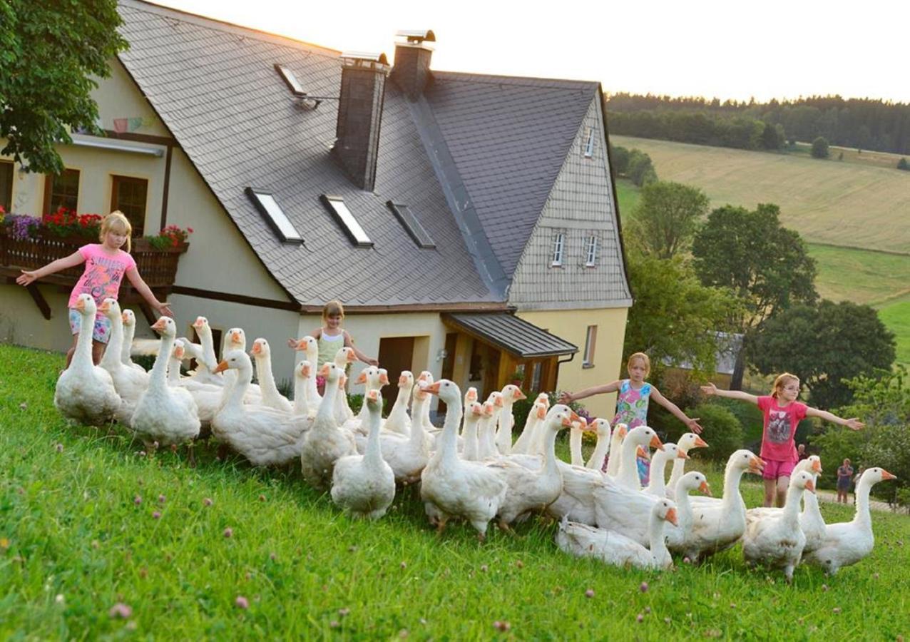 Ferienhof Kuerschner Drebach エクステリア 写真