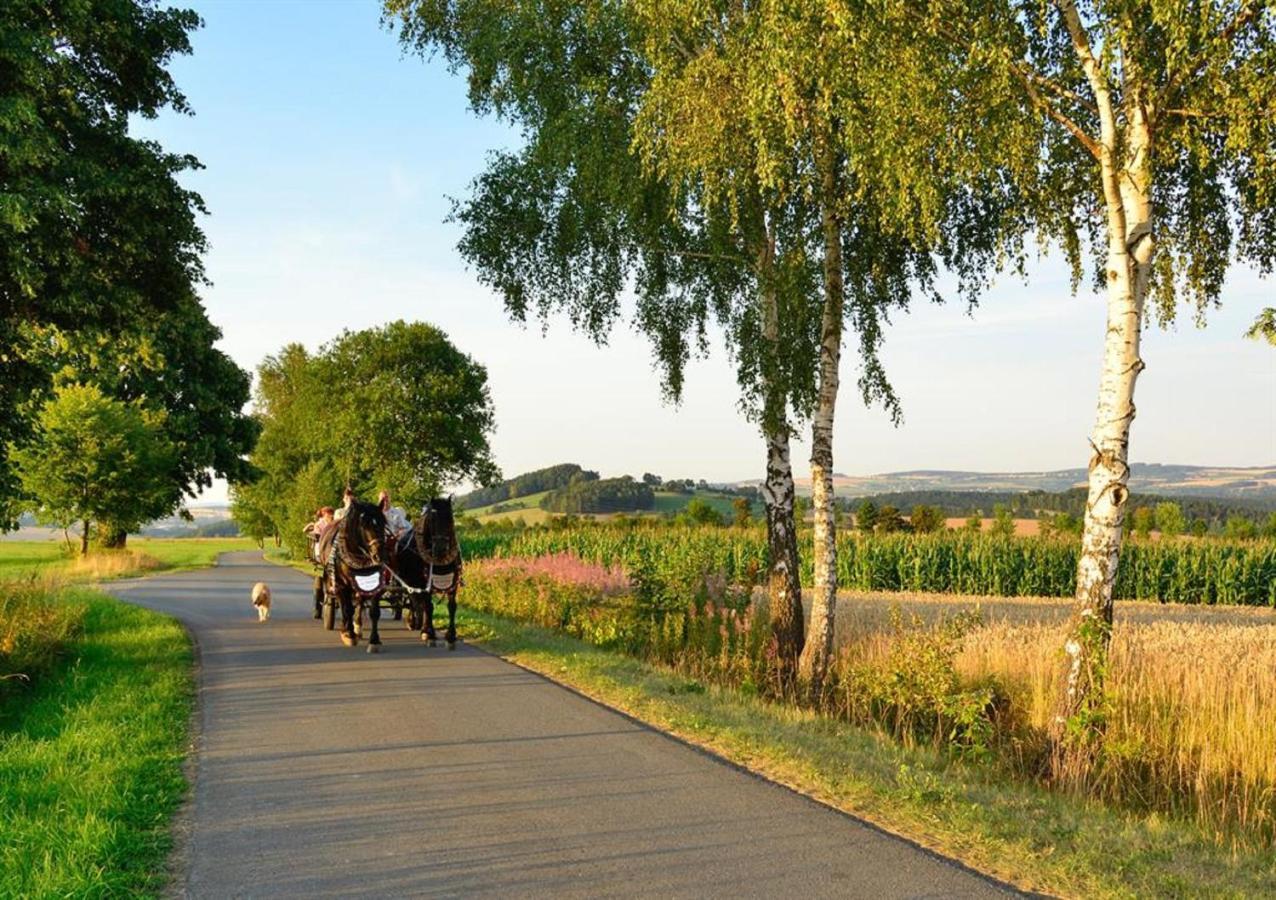Ferienhof Kuerschner Drebach エクステリア 写真