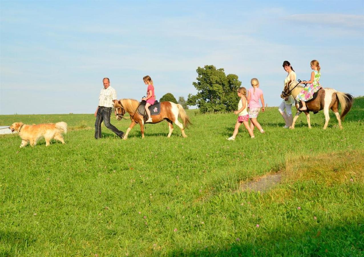 Ferienhof Kuerschner Drebach エクステリア 写真